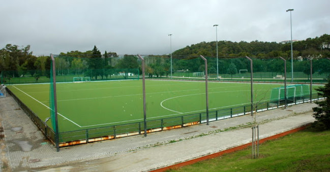 Campos De futebol Do Parque Da Cidade - Campo de futebol