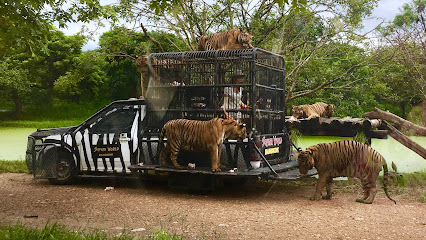 ซาฟารีเวิลด์ Safari World