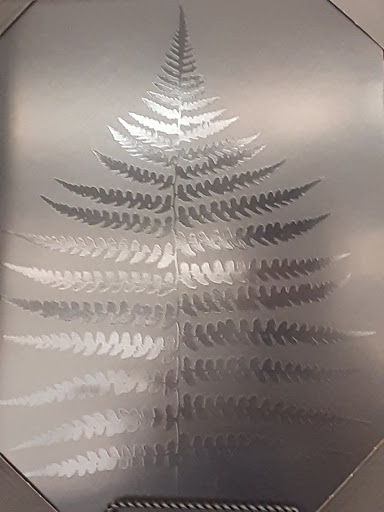 Craft Store «Hobby Lobby», reviews and photos, 6797 E Genesee St, Fayetteville, NY 13066, USA