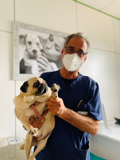 Hospital Veterinario de Catalunya - Òdena en Òdena