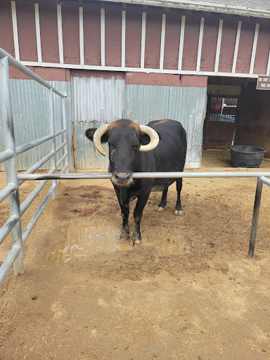 Park «Montebello Barnyard Zoo», reviews and photos, 600 Rea Dr, Montebello, CA 90640, USA