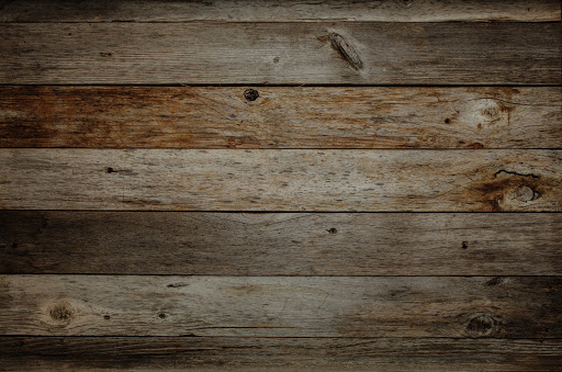 Pet Store «Critter Cabana - Wilsonville», reviews and photos, 8406 SW Main St #200, Wilsonville, OR 97070, USA