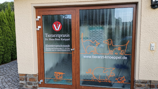 Dr.med.vet. Hans-Peter Knöppel Tierarzt unter Naunhof, Sachsen