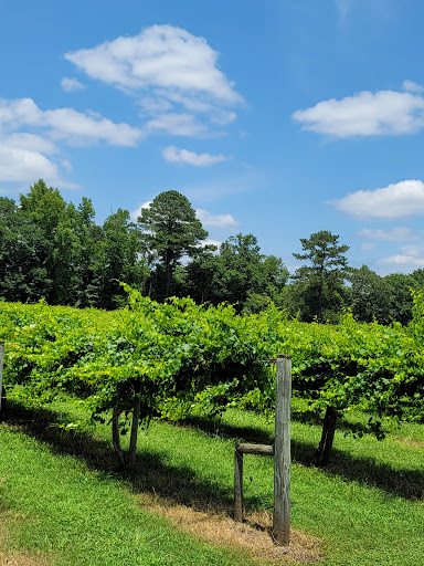 Vineyard «Morgan Creek Vineyards», reviews and photos, 181 Morgan Creek Ln, Harpersville, AL 35078, USA