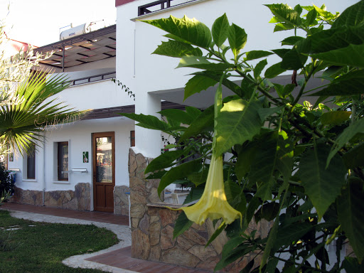 Club Cherry Hotel 2001