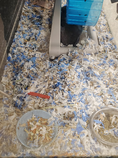 Pet Supply Store «PetSmart», reviews and photos, 310 N White Horse Pike, Lawnside, NJ 08045, USA