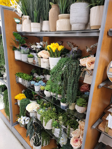 Department Store «T.J. Maxx», reviews and photos, 2700 Wilma Rudolph Blvd, Clarksville, TN 37043, USA