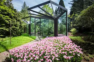 Grüningen Botanical Garden image