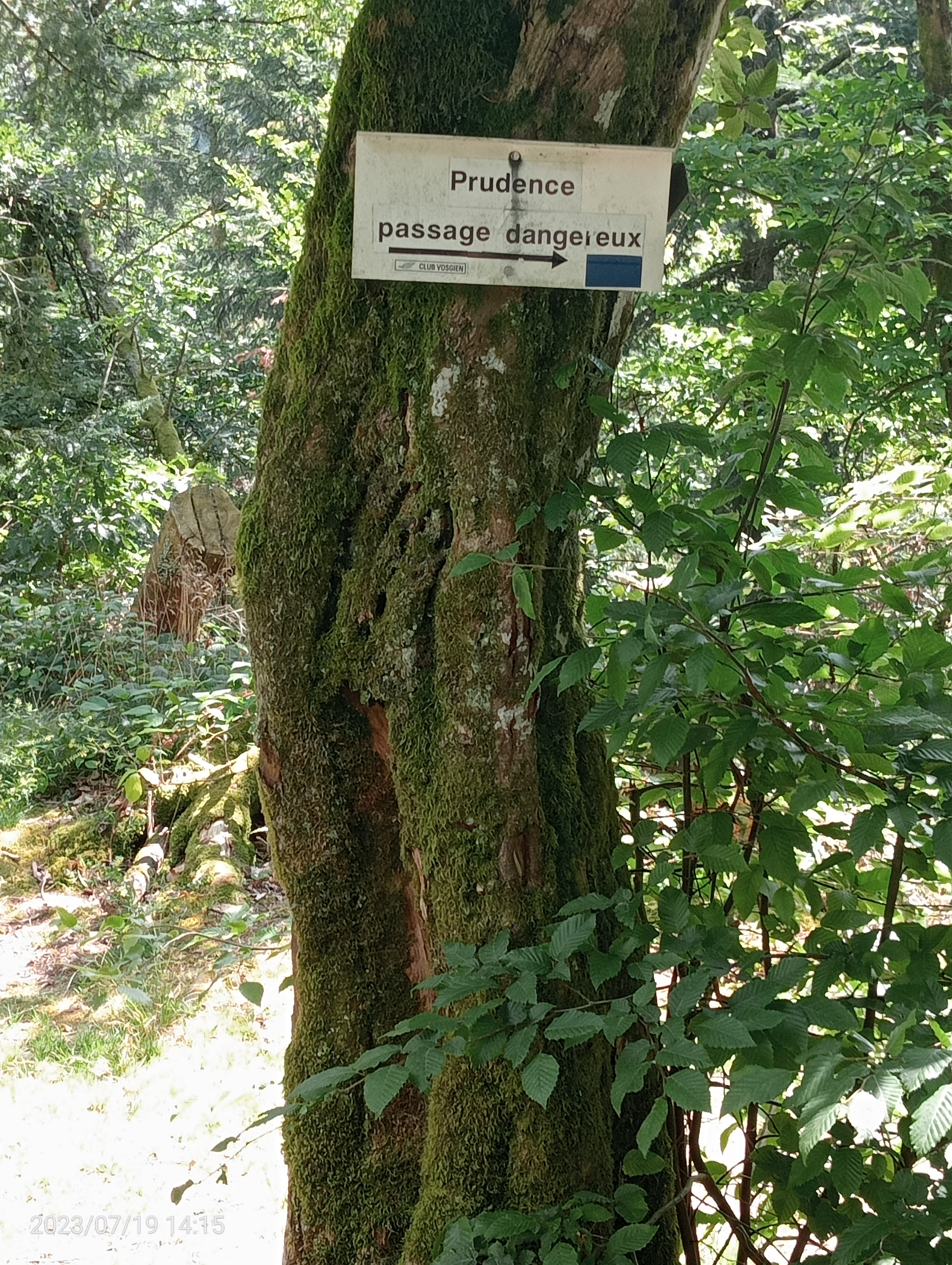 Photo n° 2 de l'avis de La.� fait le 19/07/2023 à 16:04