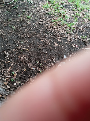 Park «Olympic Park», reviews and photos, 8601 SW 152nd Ave, Miami, FL 33193, USA