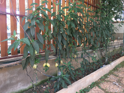 Công Ty TNHH Nông Trại Du Lịch Canh Nông Kiến Huy