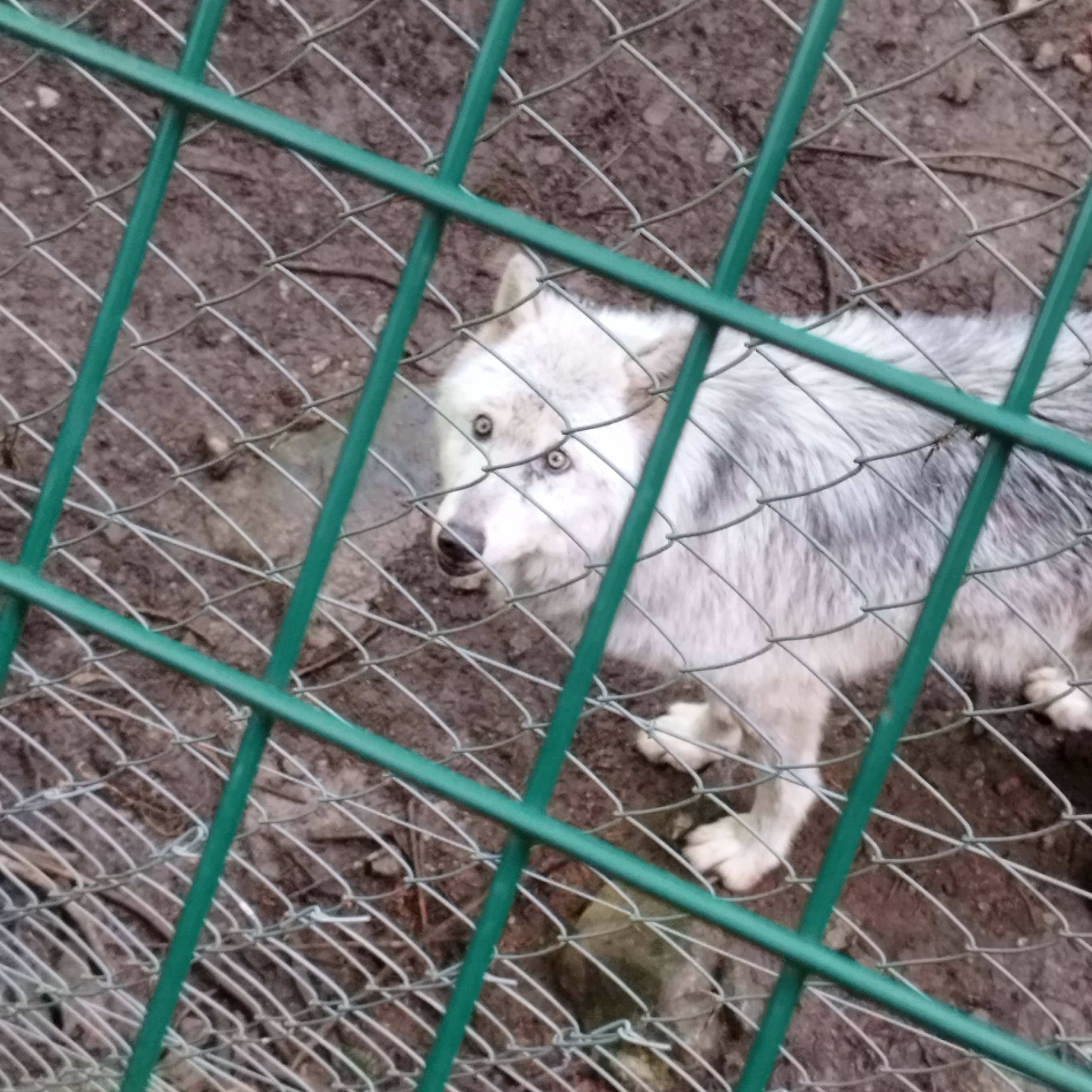 Photo n° 2 de l'avis de Damien.o fait le 16/05/2023 à 16:43