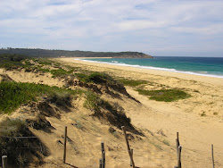 Bournda Beach'in fotoğrafı çok temiz temizlik seviyesi ile