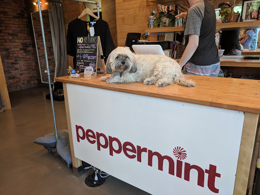 Boutique «Peppermint», reviews and photos, 145 Culver Rd, Rochester, NY 14620, USA