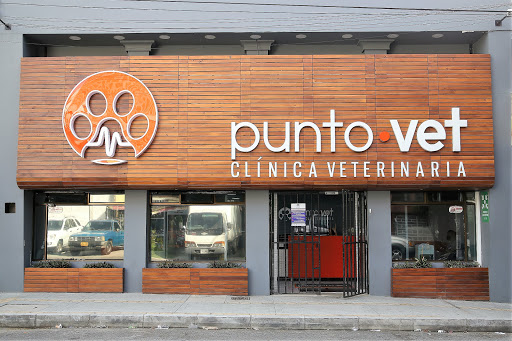 Veterinary clinics in Medellin