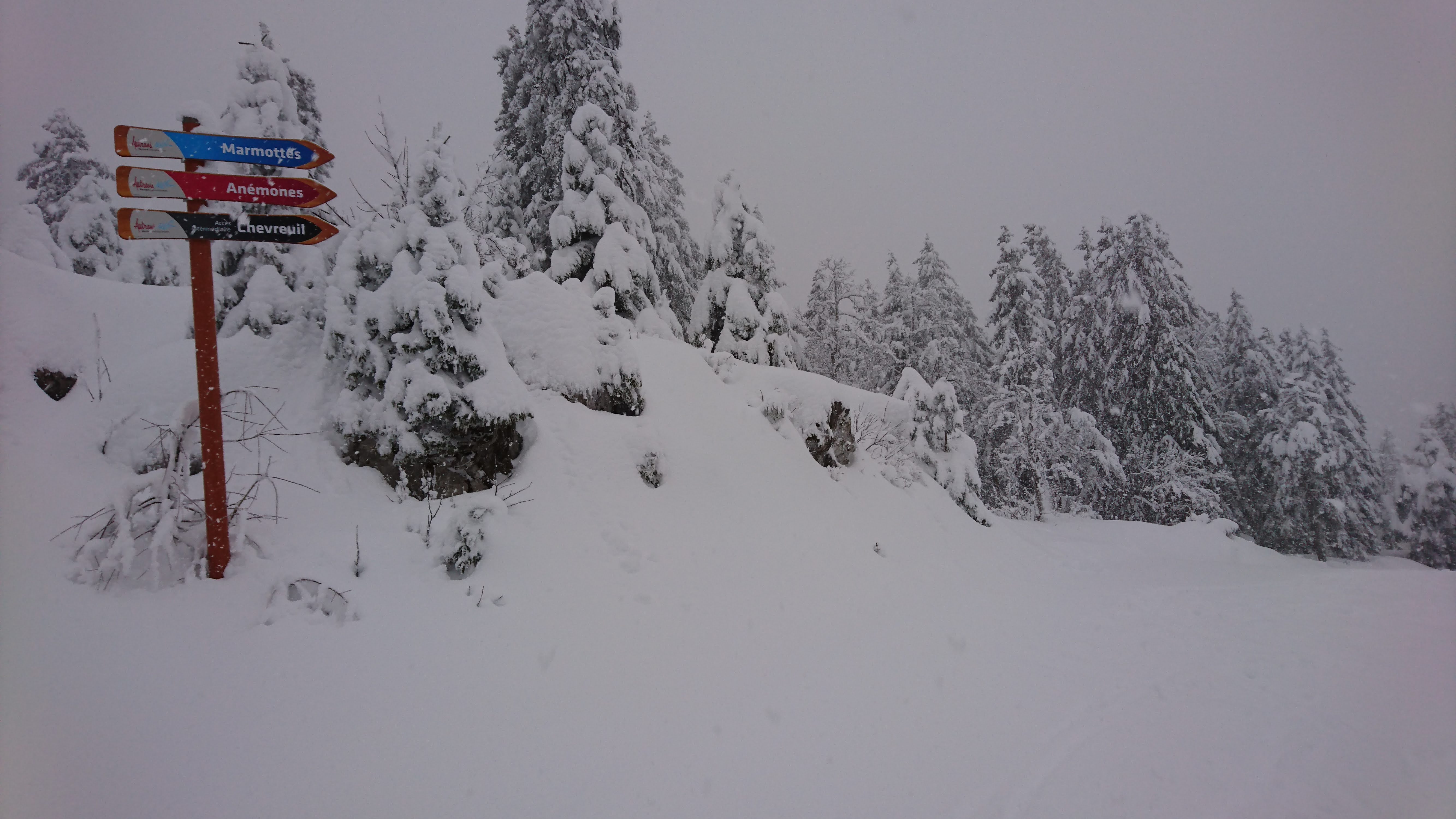 Photo n° 20 de l'avis de James.c fait le 17/02/2019 à 14:13