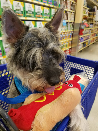 Pet Supply Store «PetSmart», reviews and photos, 6019 Wade Hampton Blvd, Taylors, SC 29687, USA