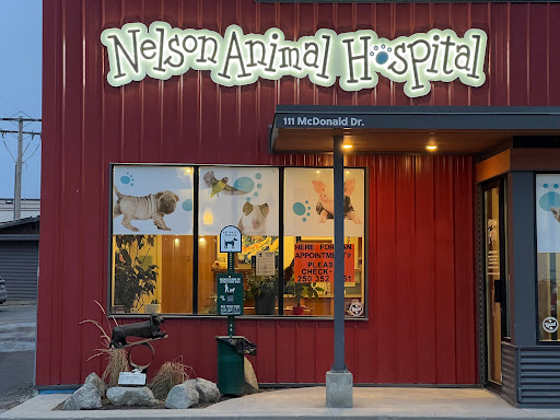 Nelson Animal Hospital - 111 McDonald Dr, Nelson, British Columbia, CA -  Zaubee