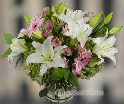 Florist «Rafael Florist», reviews and photos, 891 4th St, San Rafael, CA 94901, USA