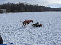 Lyon Oaks Dog Park - Photo 2 - Car repair in Wixom, MI, South Lyon