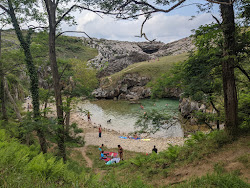 Cobijero Plajı'in fotoğrafı ve güzel manzarası