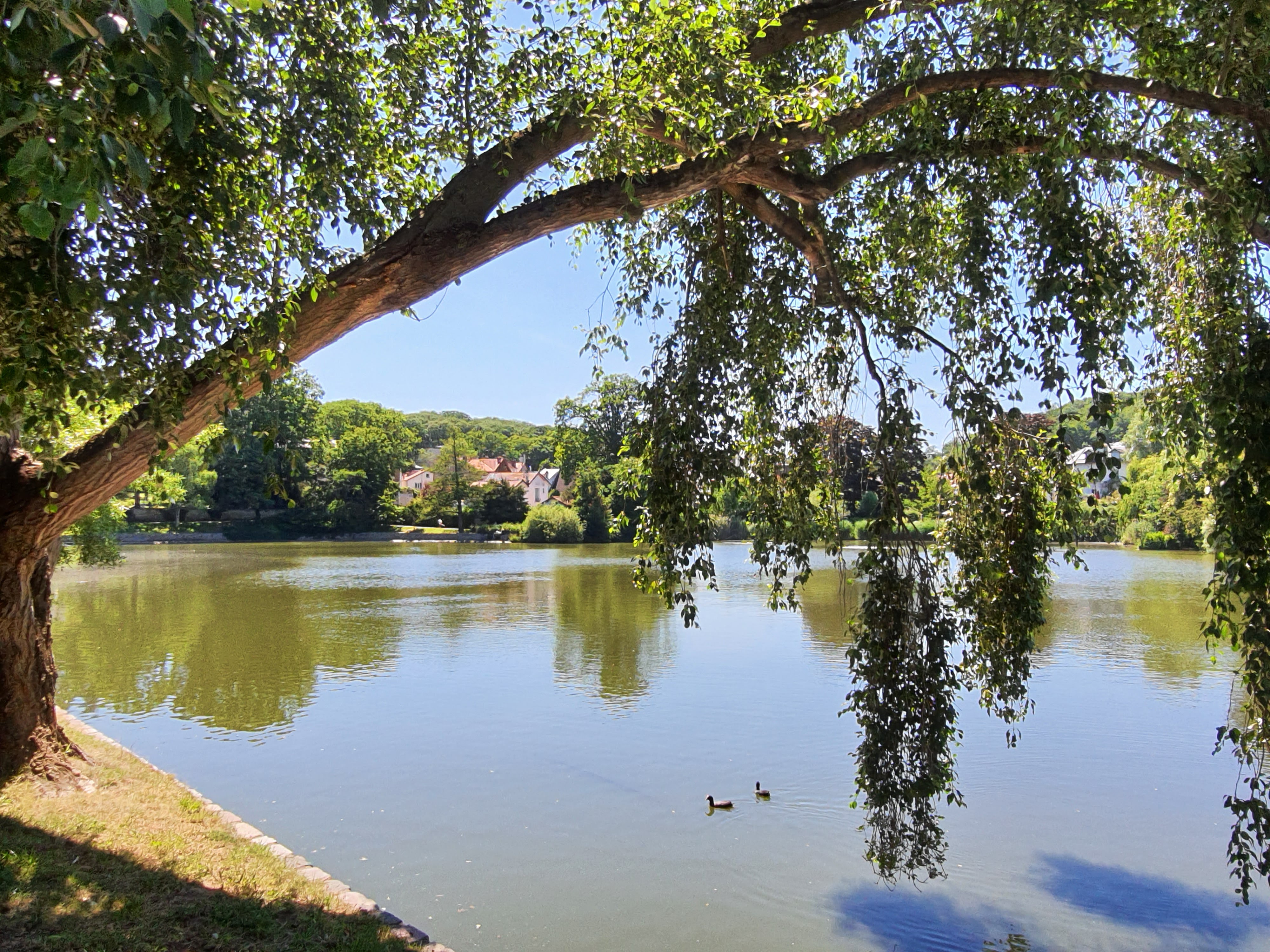 Photo n° 1 de l'avis de Catherine.a fait le 12/07/2021 à 09:18