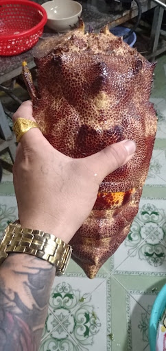 Top 20 cửa hàng akemi Huyện Lý Sơn Quảng Ngãi 2022