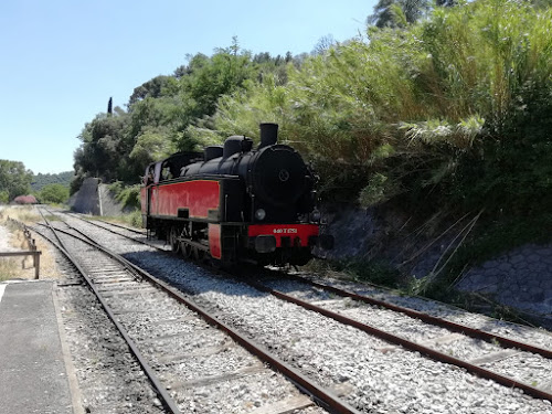 Train à Vapeur des Cévennes à Saint-Jean-du-Gard