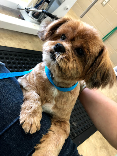 Pet Supply Store «Petco Animal Supplies», reviews and photos, 7400 Rivers Ave z, North Charleston, SC 29406, USA