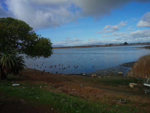 Thrift Store «ECO Thrift», reviews and photos, 490 Redwood St, Vallejo, CA 94590, USA