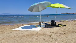 Photo de Paliochano Beach avec un niveau de propreté de très propre