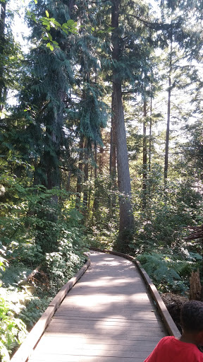 Park «West Hylebos Wetlands Park», reviews and photos, 411 S 348th St, Federal Way, WA 98003, USA