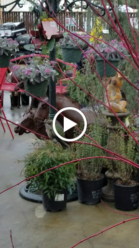 Gift Shop «Alladin Nursery & Gift Shop», reviews and photos, 2905 Freedom Blvd, Watsonville, CA 95076, USA