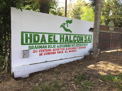 Hacienda El Halcón S. A.