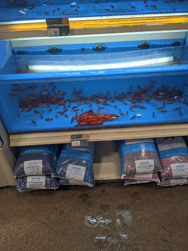 Pet Supply Store «PetSmart», reviews and photos, 5435 W TX-1604 Loop N, San Antonio, TX 78253, USA