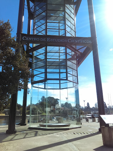 Pendulo de Foucault - Valdivia