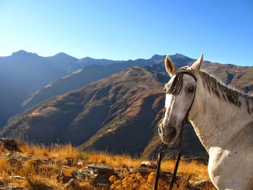 Lugares para montar en pony cerca de Granada