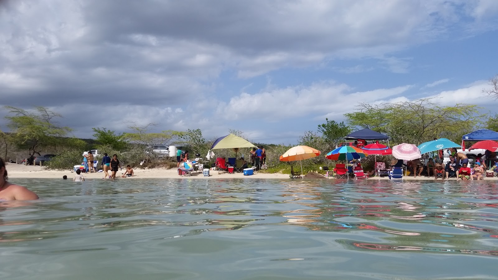 Playa La Jungla的照片 位于自然区域