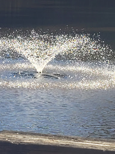 Park «Deep Run Park & Recreation Center», reviews and photos, 9900 Ridgefield Pkwy, Richmond, VA 23233, USA