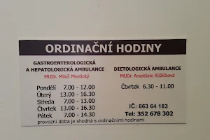 Mestický Miloš MUDr. - gastroenterologická a hepatolická ambulance image