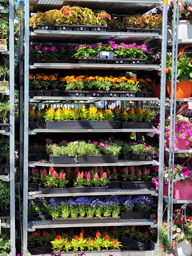 Discount Store «Walmart», reviews and photos, 651 Main St, Harleysville, PA 19438, USA