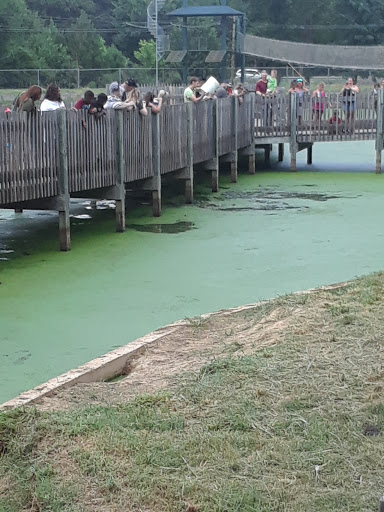 Zoo «Gators and Friends», reviews and photos, 11441 US-80, Greenwood, LA 71033, USA