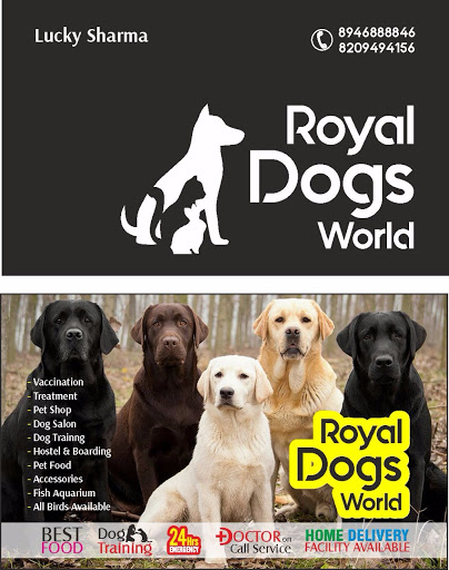 RDW (ROYAL DOG WORLD)