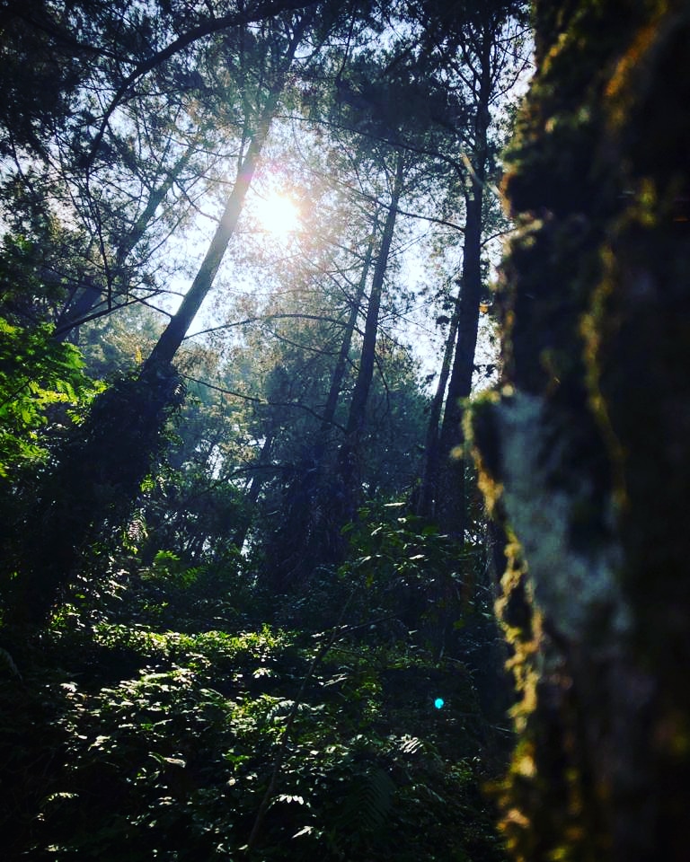 Wisata Curug Nangka