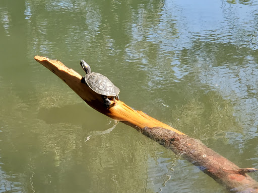 Park «Ernest E. Debs Regional Park», reviews and photos, 4235 Monterey Rd, Los Angeles, CA 90032, USA