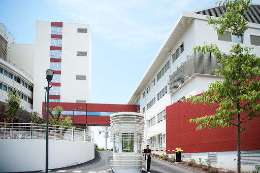 Immunologie des médecins Marseille