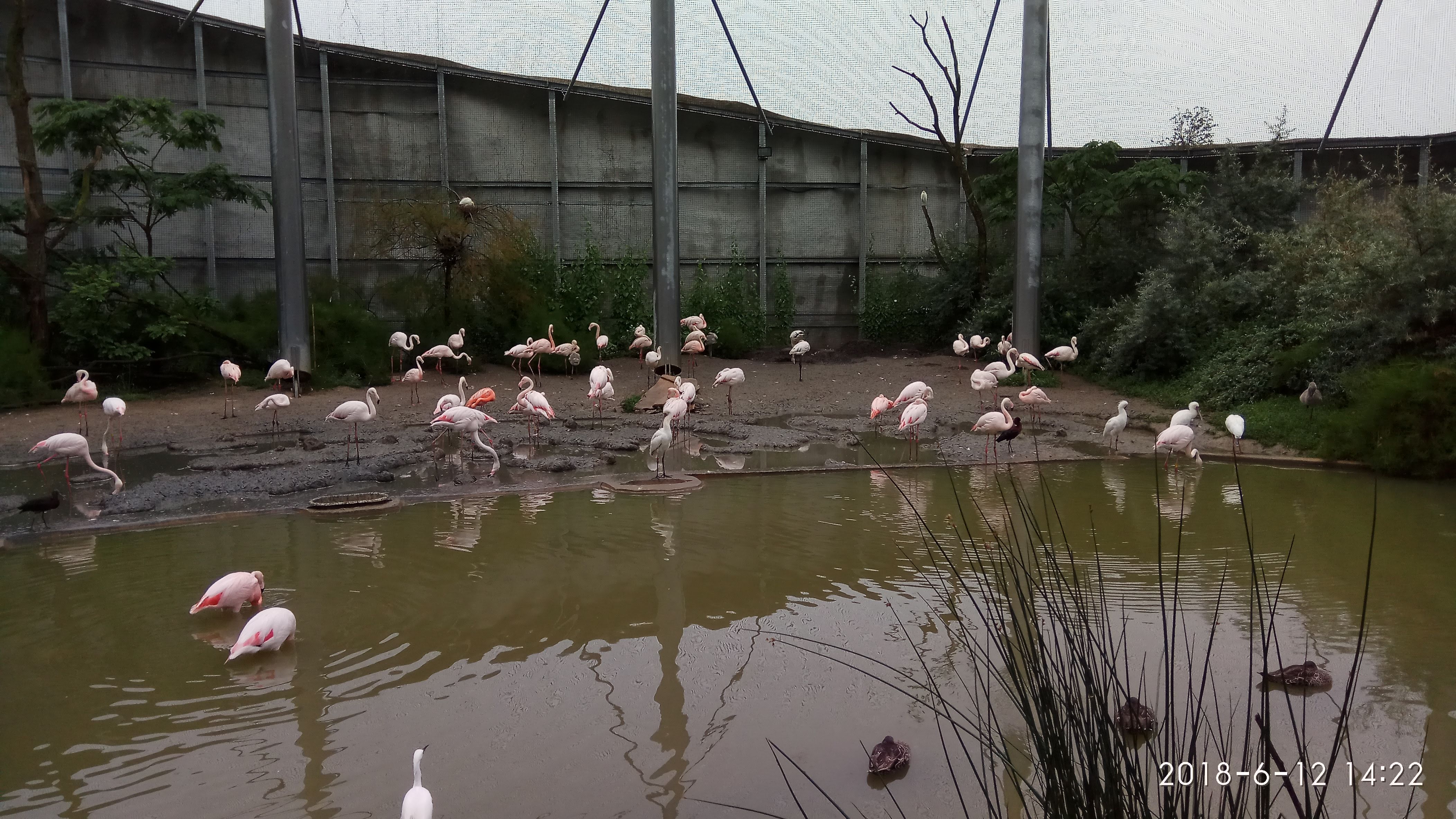 Photo n° 8 de l'avis de Swiss.e fait le 15/06/2018 à 19:24