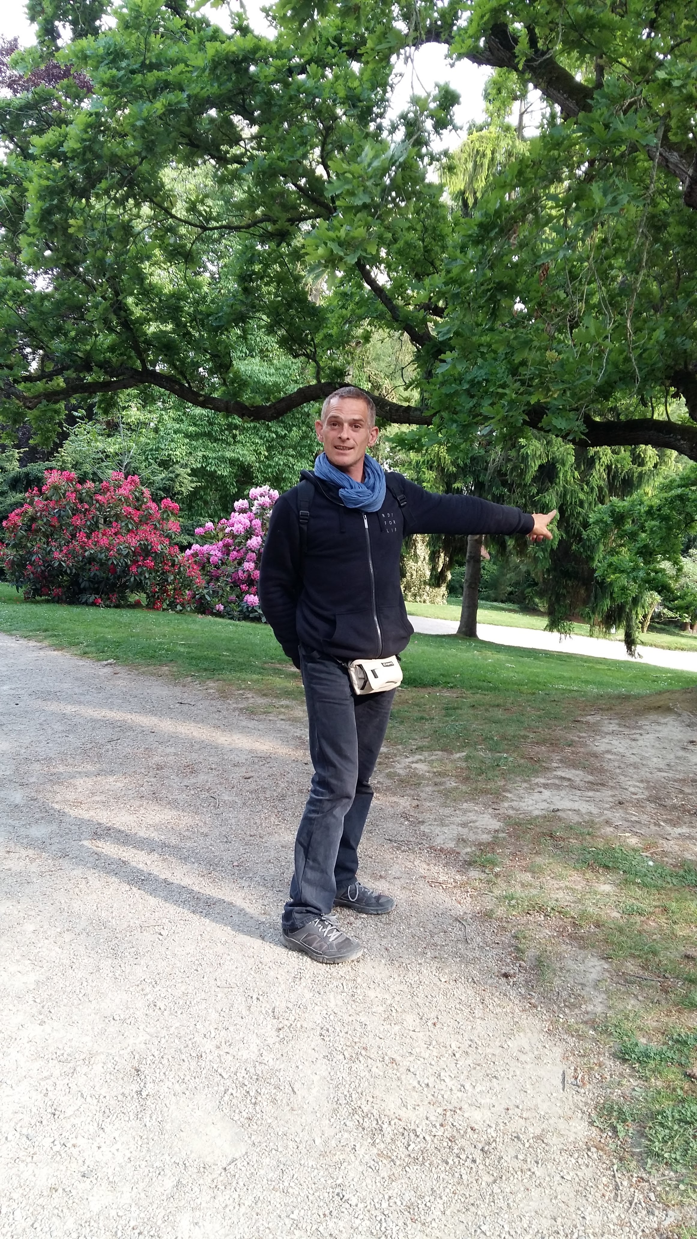 Photo n° 8 de l'avis de Voldor.5 fait le 19/05/2019 à 22:17