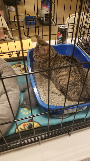 Pet Supply Store «PetSmart», reviews and photos, 4540 Grape Rd, Mishawaka, IN 46545, USA