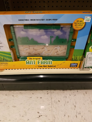 Craft Store «Hobby Lobby», reviews and photos, 1136 Boardman Poland Rd, Youngstown, OH 44514, USA